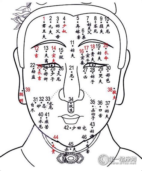 硃砂痣位置